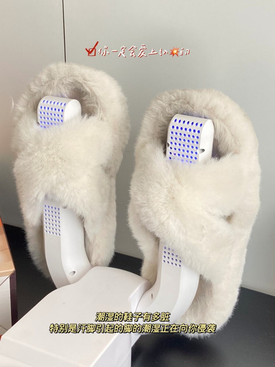 portable shoe dryer